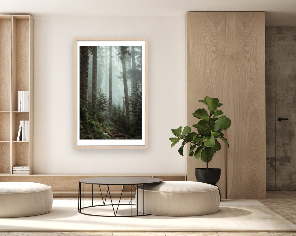 A Cascade Forest - Fine Art Print
