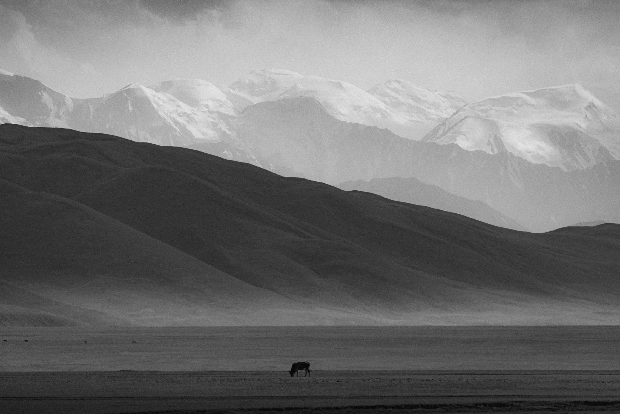 The Distant Pamirs - Limited Edition Fine Alpine Print