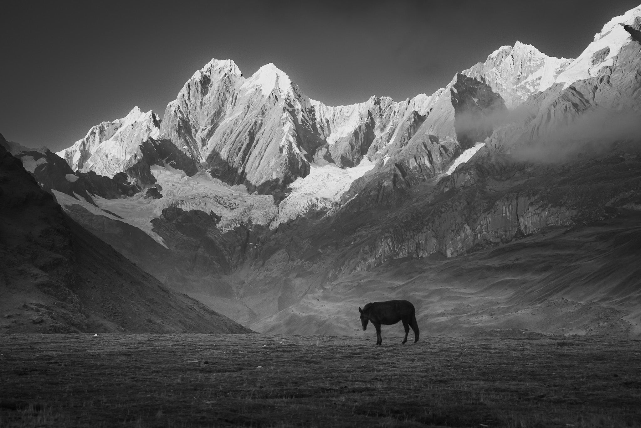 Black and white mountain landscape print of a mule in the Peruvian Andes.